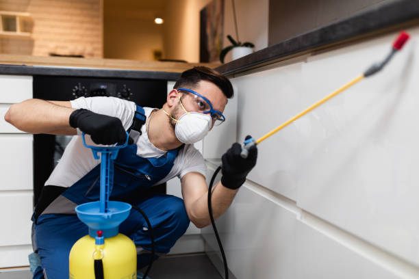 Best Termite Control Services  in Langhorne Manor, PA