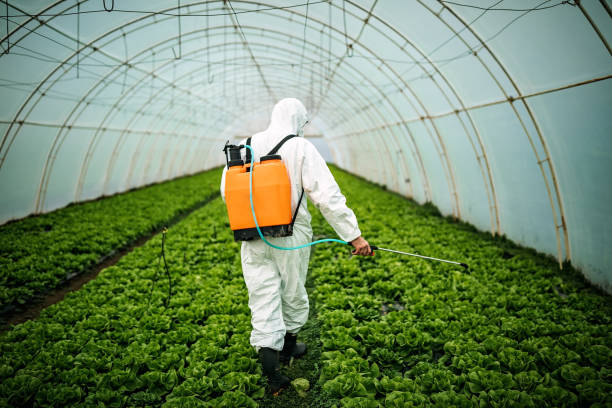 Reliable Langhorne Manor, PA Pest Control Solutions