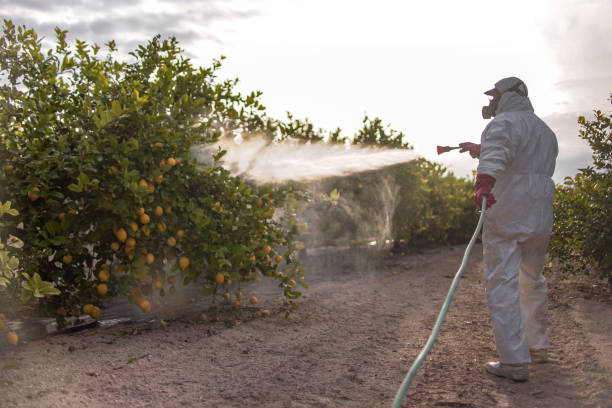 Pest Control Cost in Langhorne Manor, PA