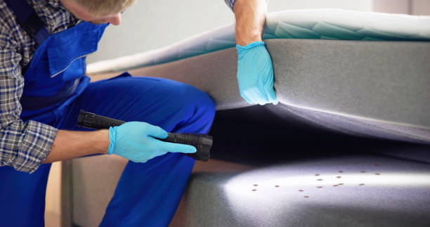 Best Best Pest Control Companies  in Langhorne Manor, PA