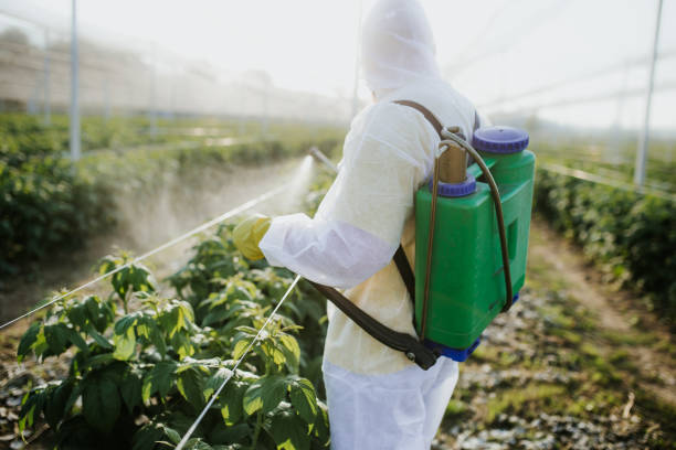 Best Pest Prevention Services  in Langhorne Manor, PA